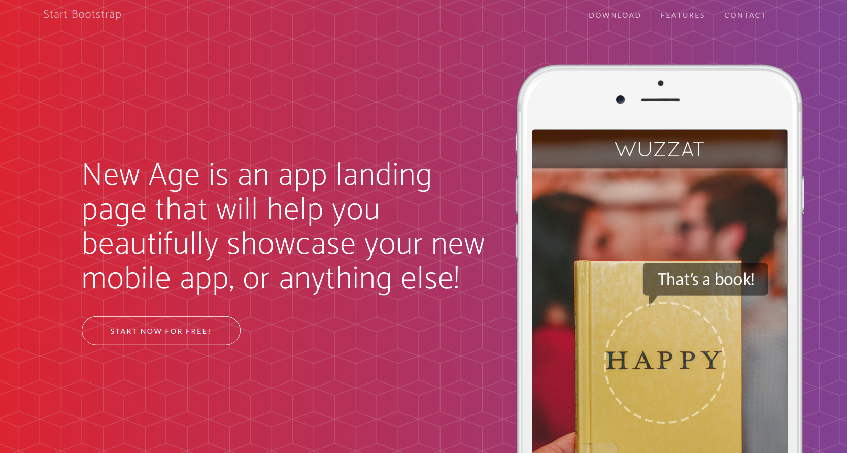 ../_images/theming-startbootstrap-newage-theme.png